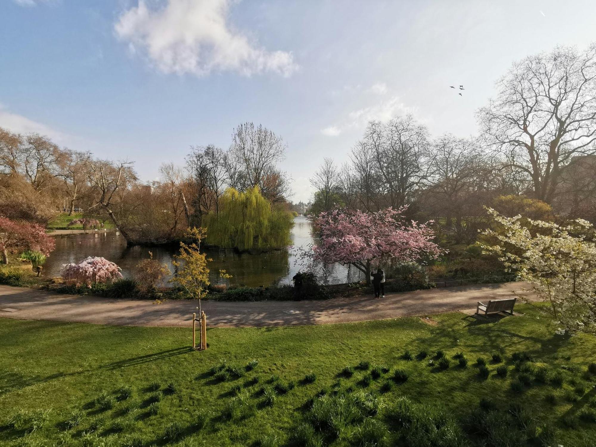 3br Retreat In Redcliffe Gardens